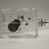 Escentric Molecules Molecule 01 pic-338629