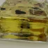 Escentric Molecules Molecule 01 + Patchouli pic-339894