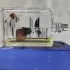 Escentric Molecules Molecule 01 + Iris pic-355450