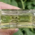 Escentric Molecules Molecule 01 + Ginger pic-398053