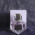 Aigner Starlight pic-119892