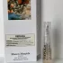 Maison Margiela Replica Never-Ending Summer pic-146741