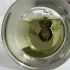 Maison Martin Margiela Replica Matcha Meditation