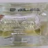 Jenny Glow Wood Sage & Sea Salt