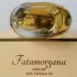 1907 Fatamorgana pic-38418
