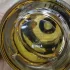 Le Couvent des Minimes Aqua Mysteri pic-218804