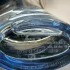 Mercedes-Benz Sea pic-11309