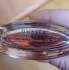 Parfums Dusita La Douceur de Siam