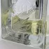 Essential Parfums Bois Imperial pic-216007