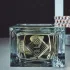 Essential Parfums Ambre Latte