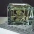 Essential Parfums Bois Imperial pic-360191