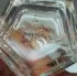 Vince Camuto Fiori