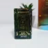 Dr. Gritti Mango Aoud
