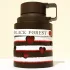 Armaf Odyssey Black Forest pic-387642
