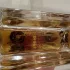 Rosendo Mateu Nº5 Floral, Amber, Sensual Musk