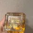 Aerin Lauder Hibiscus Palm