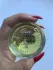 Liquides Imaginaires Succus pic-181941