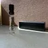 Kinetic Perfumes Insomnia