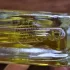 My Perfumes Fleur pic-36425