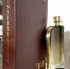 Reyane Tradition Insurrection II Wild pic-210464