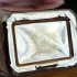 Paris Corner Ophidian Mango Bliss pic-118001