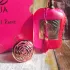 Paris Corner Rua Radiant Roses