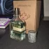 Orto Parisi Megamare pic-335206