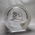 Zarkoperfume e`L pic-148902