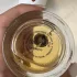 Zarkoperfume Sending Love