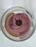 Zarkoperfume Purple MOLeCULE 070.07 pic-183713