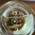 Zarkoperfume MOLeCULE No. 8 pic-24090