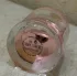 Zarkoperfume PINK MOLeCULE 090•09 pic-328527