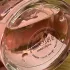 Zarkoperfume PINK MOLeCULE 090•09 pic-356639