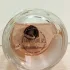 Zarkoperfume Purple MOLeCULE 070.07