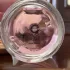 Zarkoperfume PINK MOLeCULE 090•09 pic-387776
