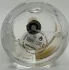 Zarkoperfume The Muse pic-75182