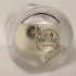 Zarkoperfume MOLeCULE No. 8 pic-82848