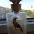 Lattafa Perfumes Pride Shaheen Gold pic-126733