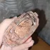 Lattafa Perfumes Rouat Al Musk pic-171574