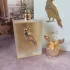 Lattafa Perfumes Pride Shaheen Gold pic-233109