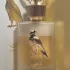 Lattafa Perfumes Pride Shaheen Gold
