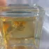 Lattafa Perfumes La Muse Splendid Royal pic-328677