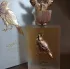 Lattafa Perfumes Pride Shaheen Gold