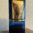 Lattafa Perfumes Al Nashama Caprice