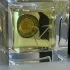 Vertus Sole Patchouli pic-322049