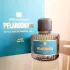 Aedes de Venustas Pelargonium pic-86419