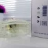 Noran Perfumes Moon 1947 Gold