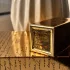 Marc-Antoine Barrois Ganymede Extrait pic-121696