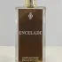 Marc-Antoine Barrois Encelade