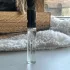 Ex Nihilo Cologne 352 pic-160366